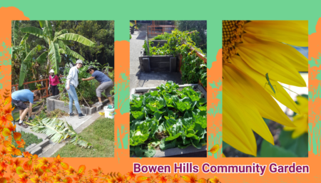 Bowen Hills Community Garden