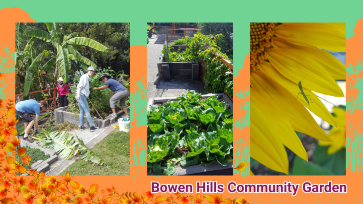 Bowen Hills Community Garden