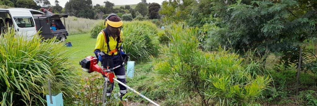 A person of Asian descent wearing a yellow and black safety vest, black pants, and a protective visor is using a brush cutter to trim vegetation in a green landscape.